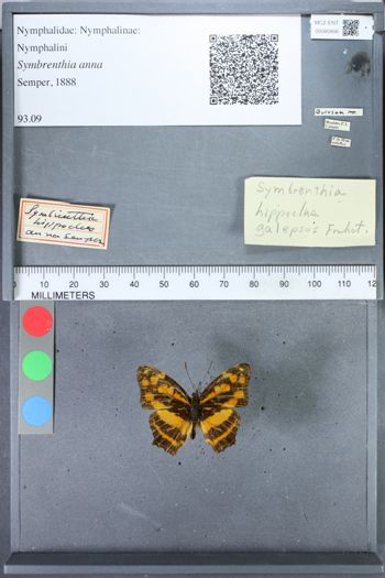 Media type: image;   Entomology 80906